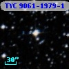 TYC 9061-1979-1
