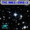 TYC 9061-1988-1