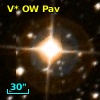 V* OW Pav