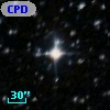 CPD-64  3651
