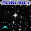 TYC 9061-4053-1