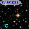 SV* BV  1289