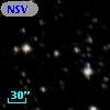 NSV  9933