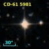 CD-61  5981
