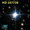 HD 167736