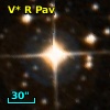 V* R Pav