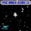 TYC 9063-1205-1