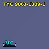 TYC 9063-1309-1