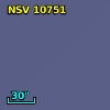 NSV 10751