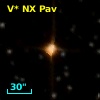 V* NX Pav