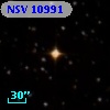 NSV 10991