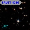 FAUST 4286