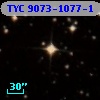 TYC 9073-1077-1