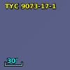 TYC 9073-17-1