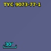 TYC 9073-77-1