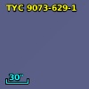 TYC 9073-629-1