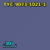 TYC 9073-1021-1