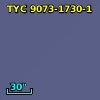 TYC 9073-1730-1