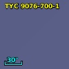 TYC 9076-700-1