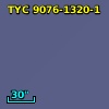 TYC 9076-1320-1