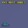 TYC 9077-2446-1