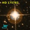 HD 175782