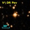V* DR Pav