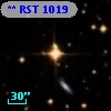 ** RST  1019