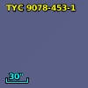 TYC 9078-453-1