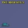 TYC 9078-675-1