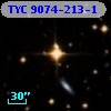 TYC 9074-213-1