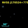 NVSS J170524+775559