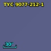 TYC 9077-212-1