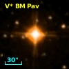 V* BM Pav