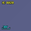 IC 4828