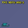 TYC 9071-492-1