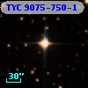 TYC 9075-750-1