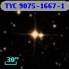 TYC 9075-1667-1