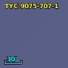 TYC 9075-707-1