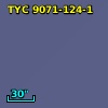 TYC 9071-124-1