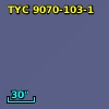 TYC 9070-103-1