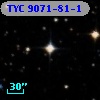 TYC 9071-81-1