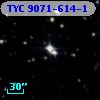 TYC 9071-614-1