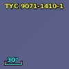 TYC 9071-1410-1
