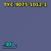 TYC 9075-1012-1
