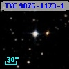 TYC 9075-1173-1