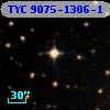 TYC 9075-1306-1