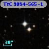 TYC 9084-565-1