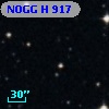 NOGG H  917