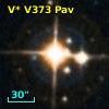 V* V373 Pav